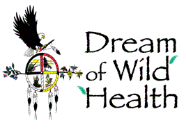 dream-of-wild-health logo